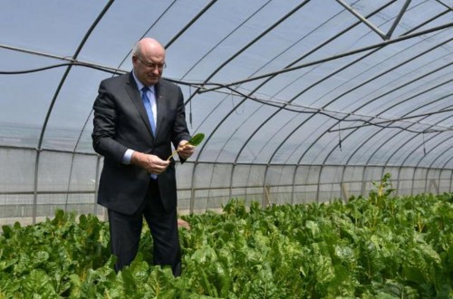 Bruselas destinará 179 M€ en 2018 a la promoción de alimentos y bebidas de la UE