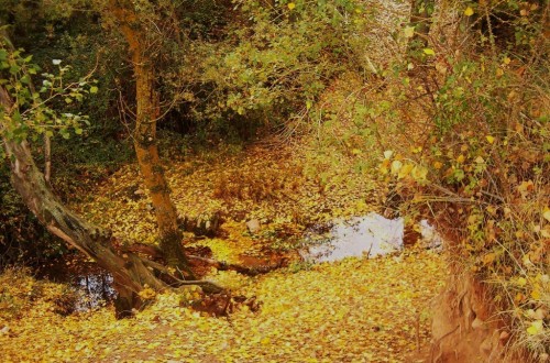 Devolución de casi 55 M€ a los agricultores españoles de la reserva de crisis de la PAC 2017