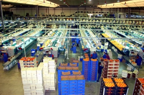 Concluye la consulta pública de la CE sobre la mejora de la cadena alimentaria