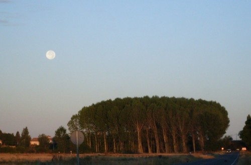 La planificación de los Programas de Desarrollo Rural en la UE, demasiado larga y compleja