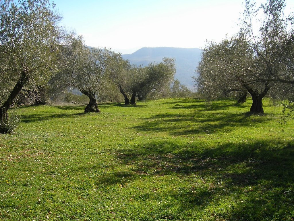 Acuerdo en la UE sobre la futura nueva normativa comunitaria de agricultura ecológica