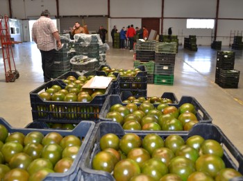 Bajan un 2,1% los precios de exportación de la industria alimentaria en mayo