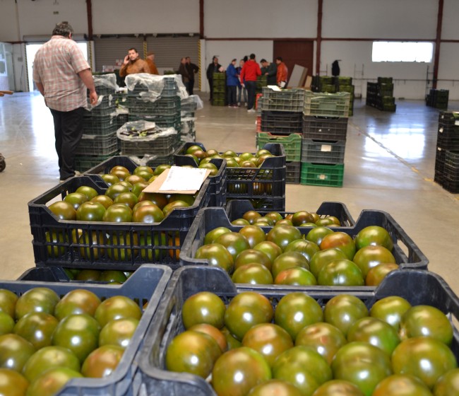 Bajan un 2,1% los precios de exportación de la industria alimentaria en mayo