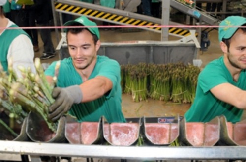 Más de 728 M€ para El Plan Estratégico de la Agroindustria andaluza hasta 2020