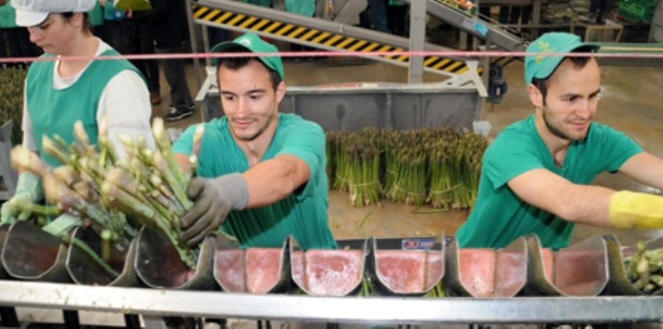 Más de 728 M€ para El Plan Estratégico de la Agroindustria andaluza hasta 2020