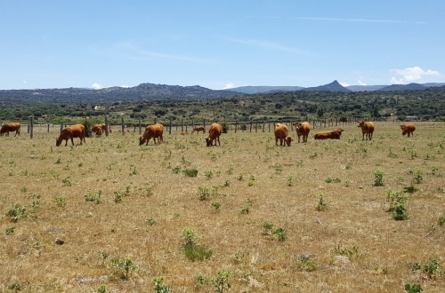 Visto bueno al Plan de Seguros Agrarios 2018, con 211,3 M€ de subvención para contratar pólizas