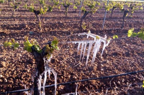 La importancia para el agricultor de invertir en tranquilidad y seguridad