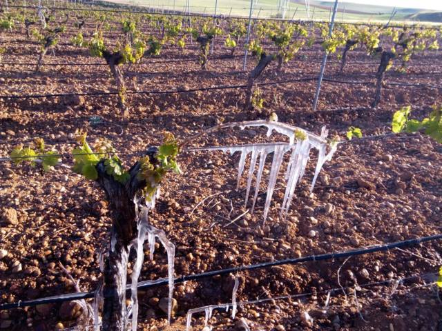 La importancia para el agricultor de invertir en tranquilidad y seguridad