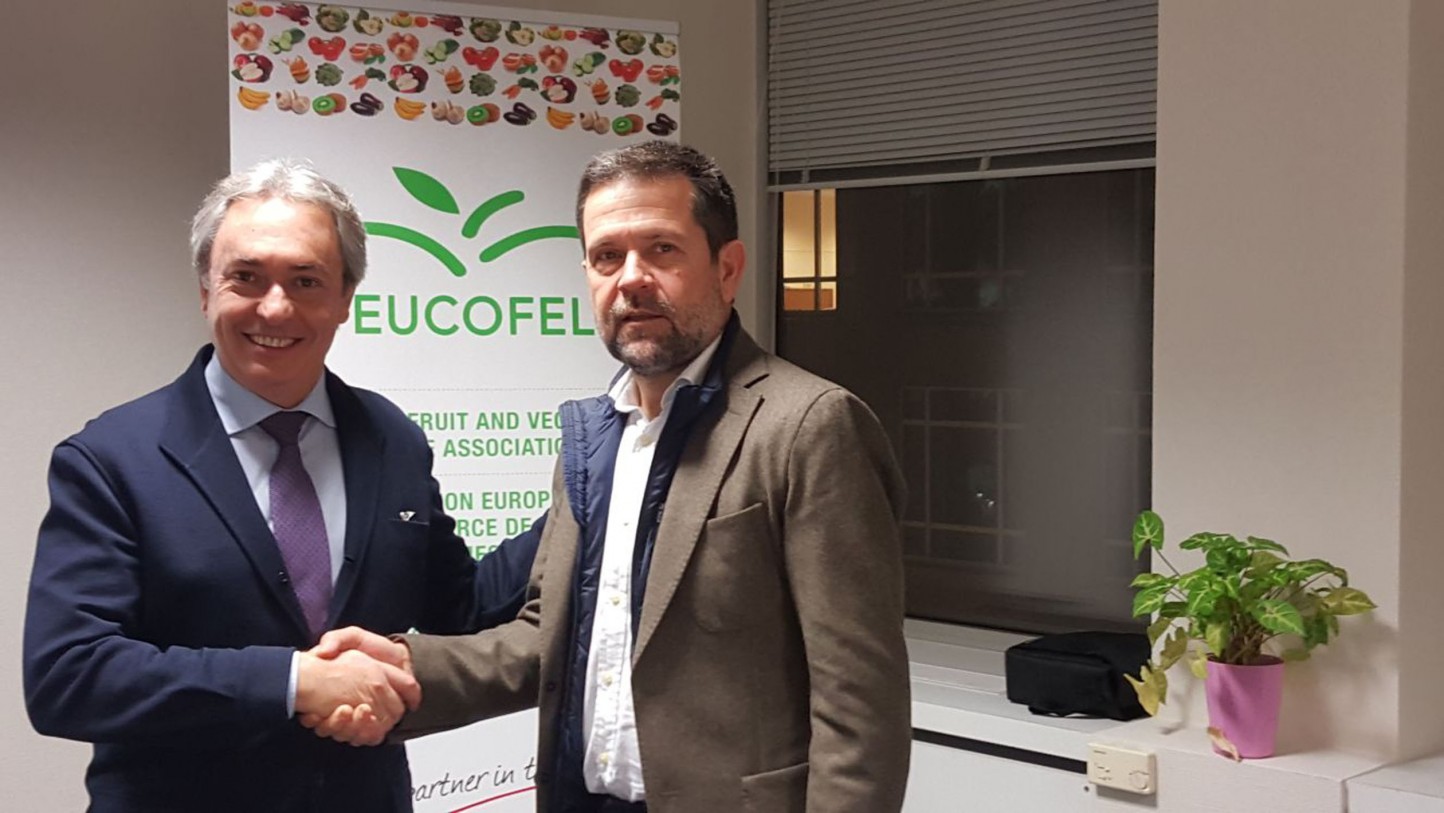 La Asociación Europea del Comercio de Frutas y Hortalizas elige a Juan Marín como presidente