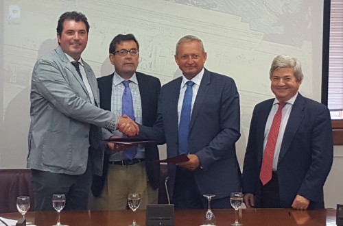 La Interprofesional del Vino y los consejos reguladores vitivinícolas identifican líneas de trabajo conjuntas