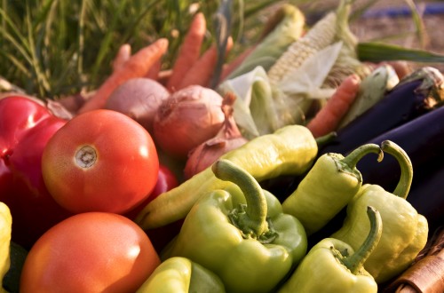 Agricultura impulsa nuevas normas UNE sobre productos agrícolas utilizables en producción ecológica