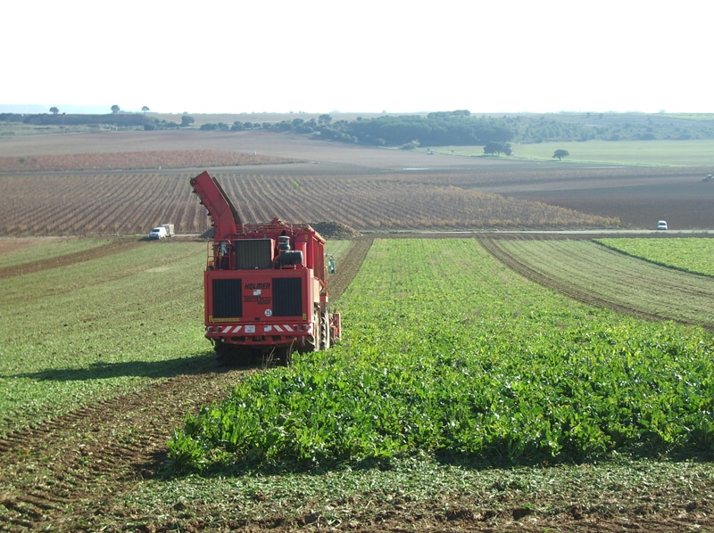 La campaña remolachera en la zona norte alcanza 1.270.000 toneladas de remolacha líquida