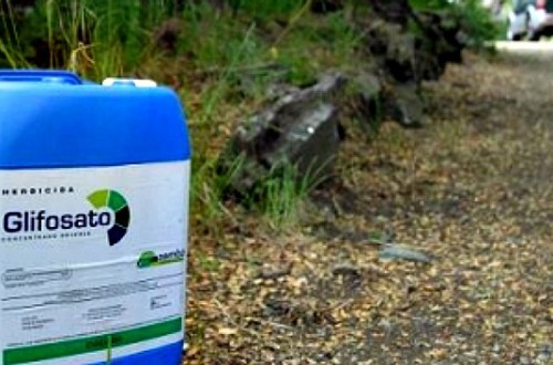 Otros 5 años asegurados de glifosato y nueva propuesta legislativa para 2018