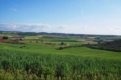 Menos explotaciones agrícolas, pero sube hasta 25,06 ha la SAU media entre 2013 y 2016