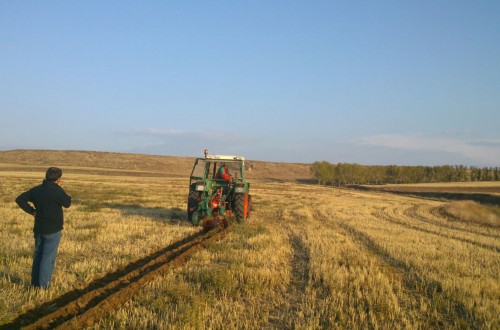 El sector agrícola europeo perderá un 28% de sus efectivos en 2030