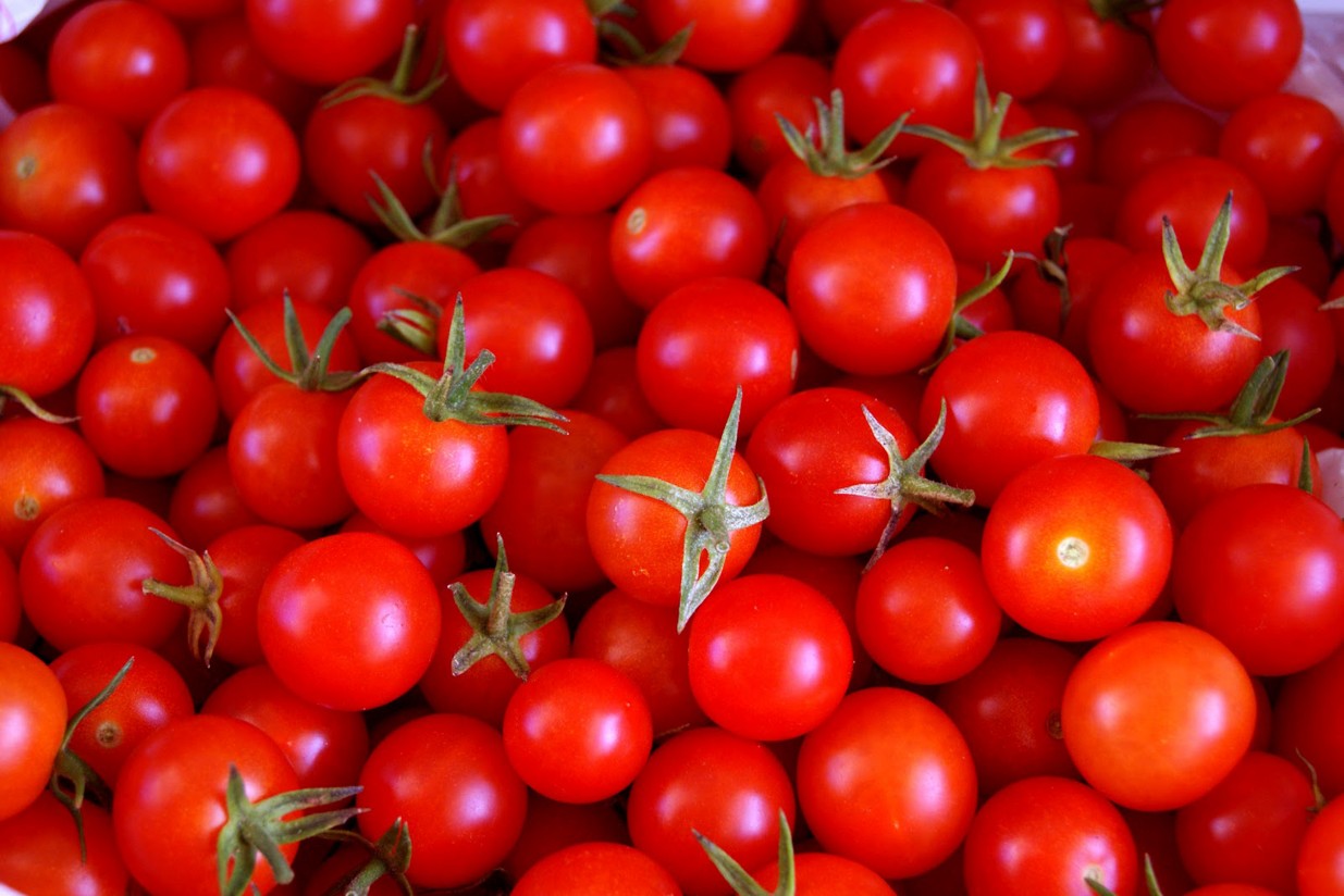 La CE estima que la producción de tomate y manzana se mantendrá estable en 2030