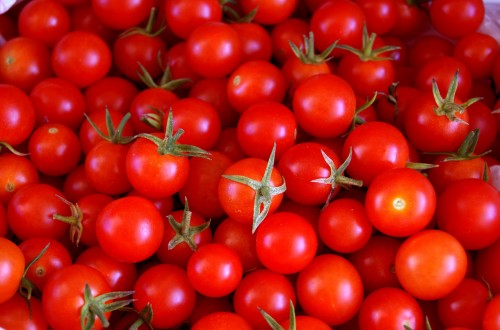 La CE estima que la producción de tomate y manzana se mantendrá estable en 2030