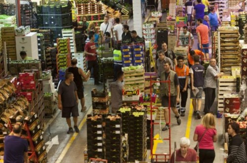 Marruecos copa un 35,3% de la importación hortofrutícola española de países terceros