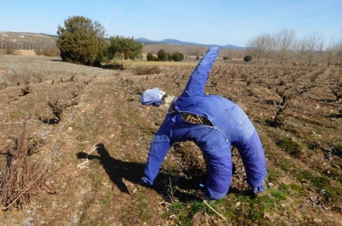El sector agrario de la UE defiende que haya más presupuesto comunitario para mantener la PAC