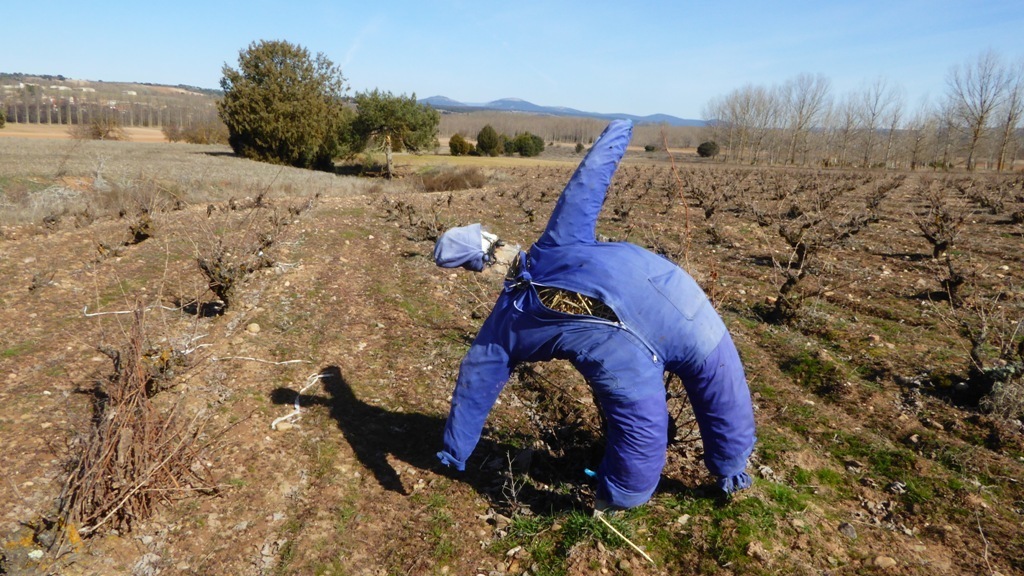 El sector agrario de la UE defiende que haya más presupuesto comunitario para mantener la PAC