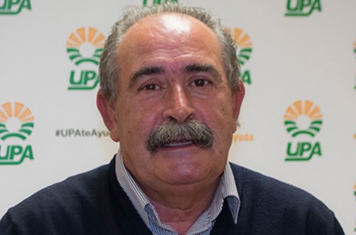Rafael Cervera presidirá el relanzamiento de la Interprofesional Citrícola, Intercitrus