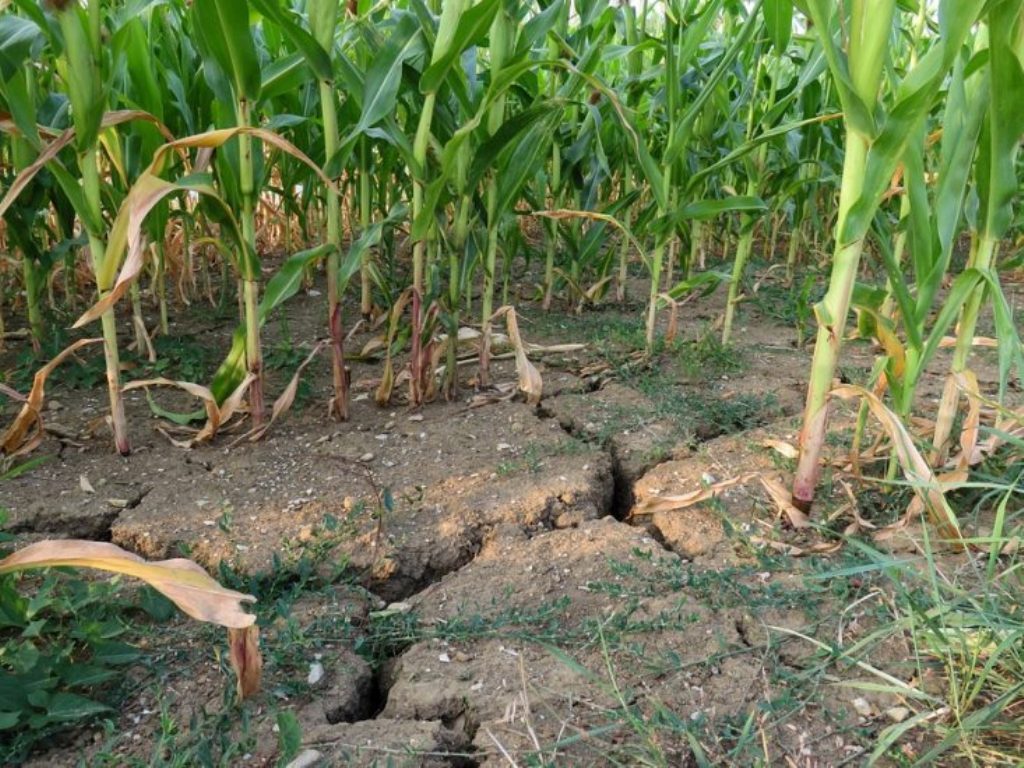 ¿Cómo gestionarán y se repartirán los regantes la escasez de agua este año?