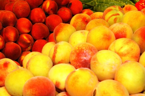 Las Uniones regionales de COAG solicitan medidas urgentes para el sector frutícola