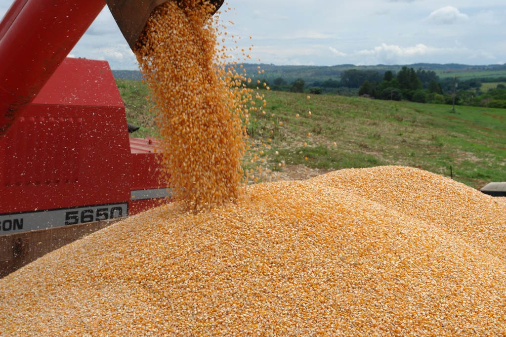 España necesita importar en 2017/18 “otra cosecha” para atender su demanda interna de cereales