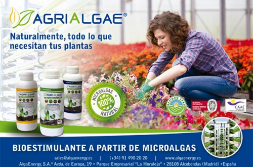 El proyecto Agrialgae, premio a la Innovación Empresarial de Agroexpo