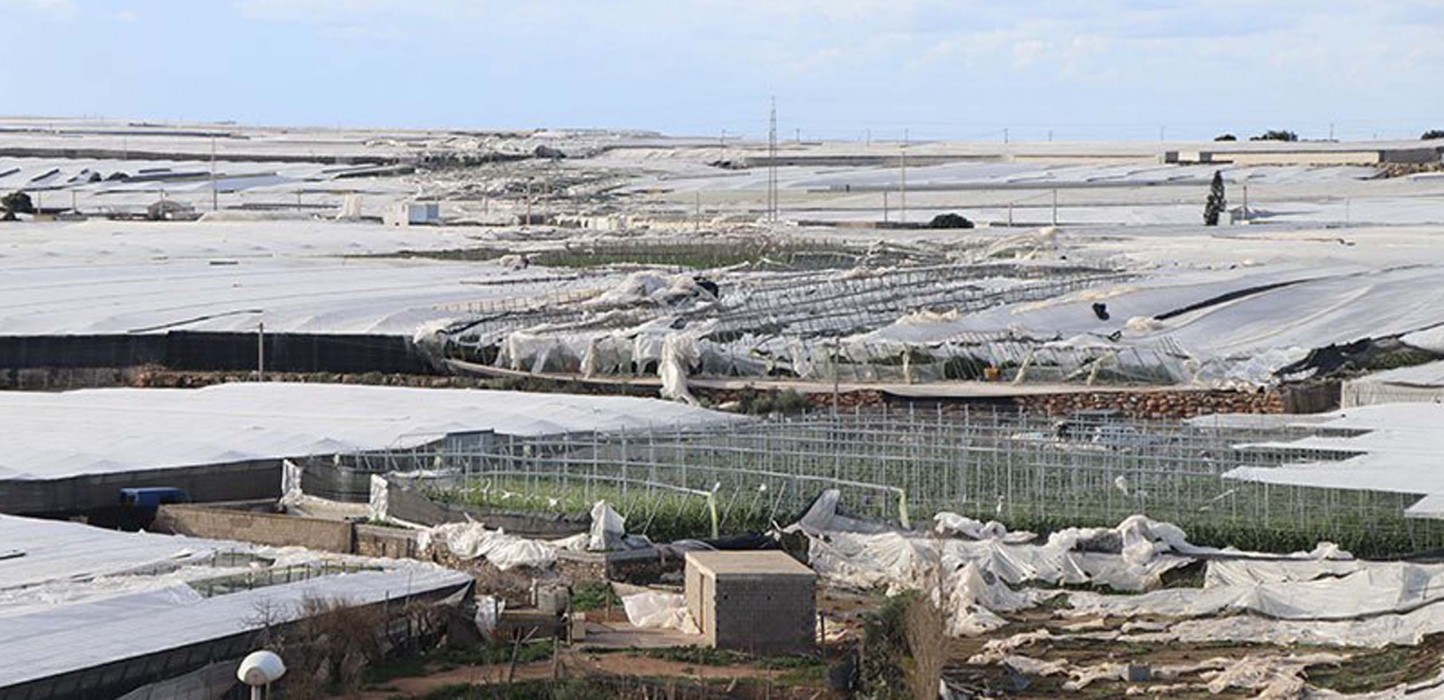 Cinco empresas agrarias se unen para ayudar a los agricultores afectados por el tornado