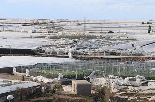 Cinco empresas agrarias se unen para ayudar a los agricultores afectados por el tornado