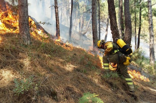 El 2017, año muy negro por los incendios forestales que arrasaron 178.436 ha en toda España