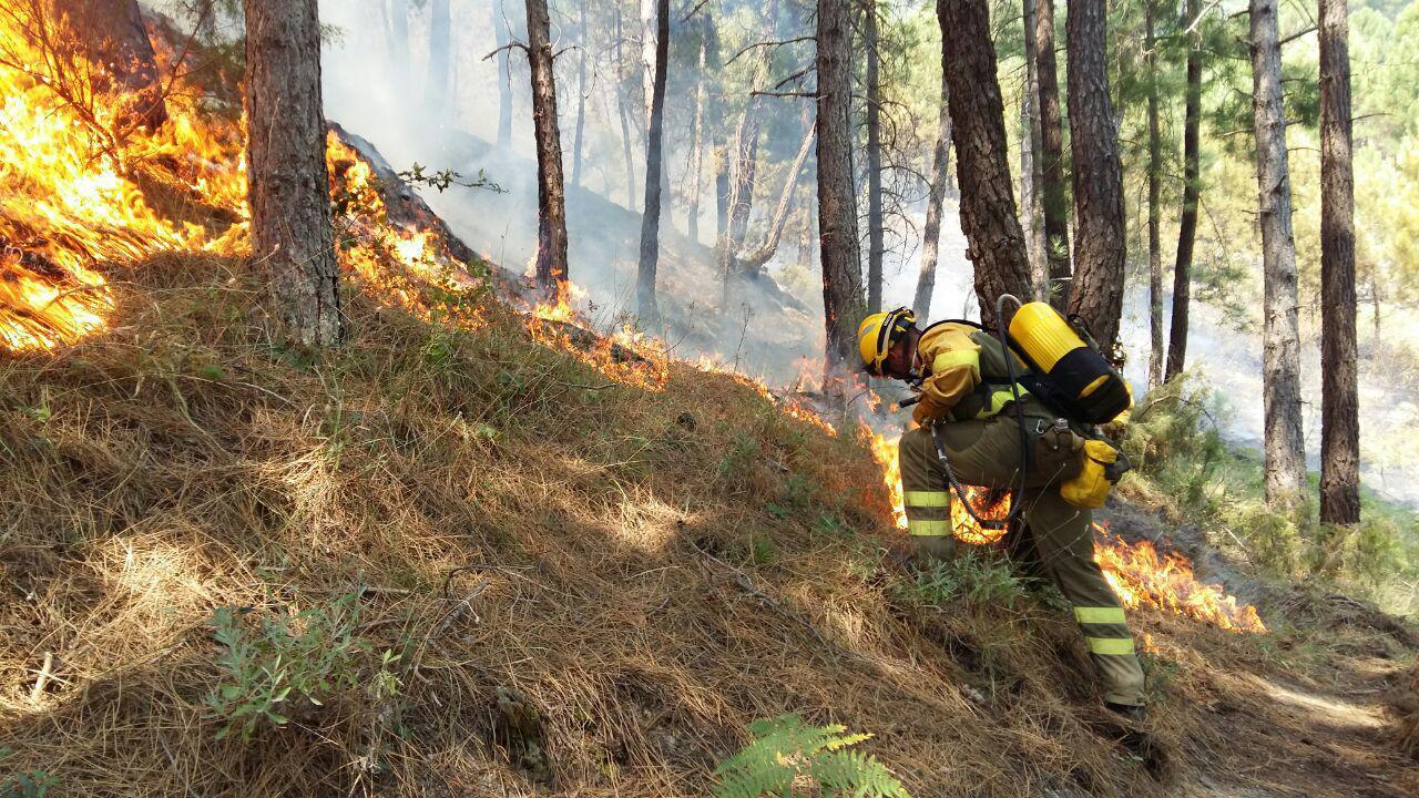 El 2017, año muy negro por los incendios forestales que arrasaron 178.436 ha en toda España