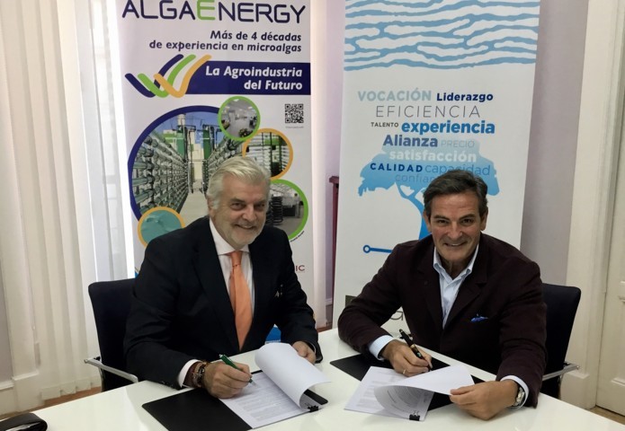 AlgaEnergy y DF Grupo se asocian para la distribución de los bioestimulantes agrícolas AgriAlgae