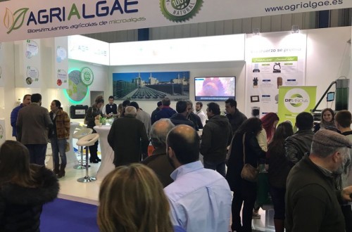 Éxito para AlgaEnergy en su primera Agroexpo