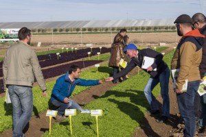 Centro de Syngenta en Torrepacheco