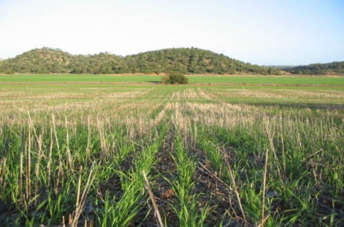 La Comisión Europea premia el proyecto Life+Agricarbon por su aportación a la lucha contra el cambio climático