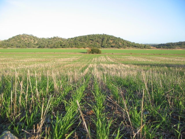 agricultura de conservacion