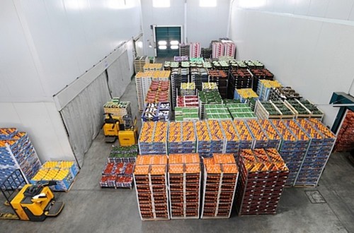 Unas 25 AOPs cubren prácticamente toda la producción hortofrutícola en Francia