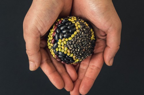 El 10 de febrero se celebrará el Día Global de las Legumbres