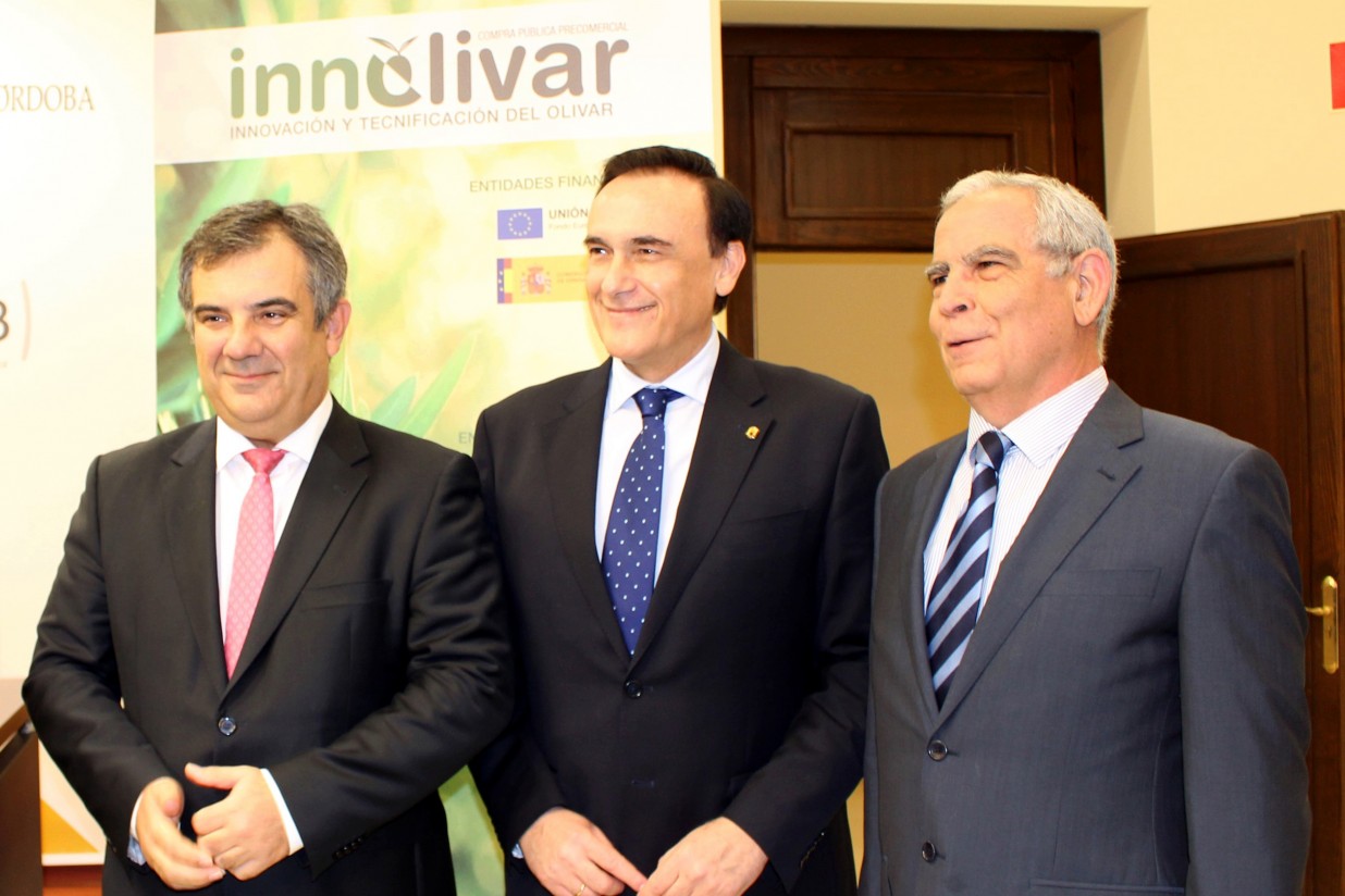 Innolivar invertirá 13 millones de euros en proyectos de innovación para el olivar