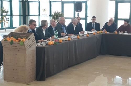 Más prevención y protección fitosanitaria, demandas del sector europeo de cítricos a Bruselas