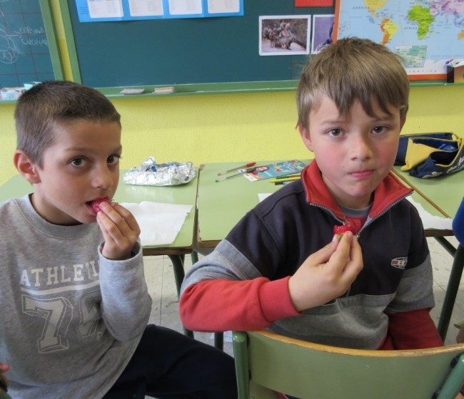 Unos 250 M€ a fomento del consumo hortofrutícola y de leche en las escuelas de la UE