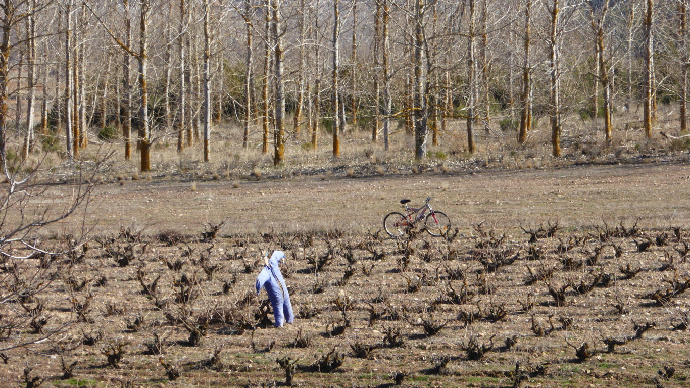 Fuerte aumento del paro agrario por fin de tareas agrícolas en febrero