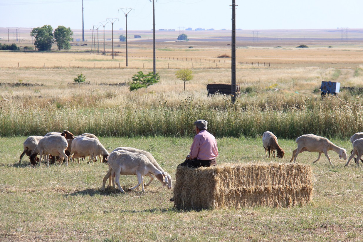 Los agricultores y ganaderos jubilados reclamarán mañana pensiones dignas