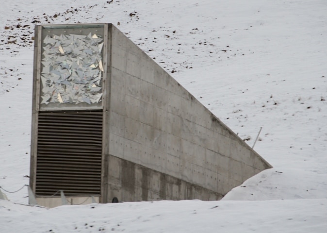 Décimo aniversario del Depósito Mundial de Semillas de Svalbard. Por Jaime Lamo de Espinosa