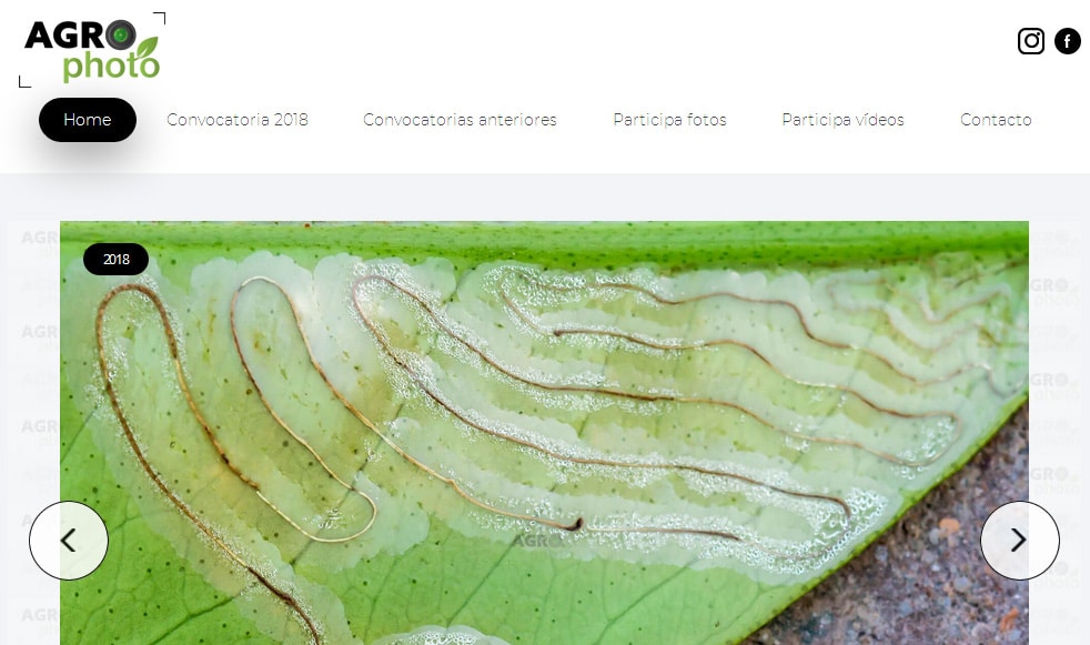 Arranca la quinta edición del certamen de fotografía Agro.photo de Tradecorp