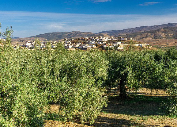 Un 50,7% de los pueblos de España carece ya de oficina bancaria