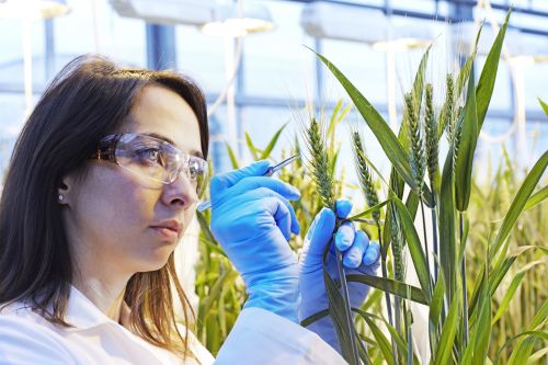 La CE permite la compra por BASF de parte del negocio de “Crop Sciencie» de Bayer