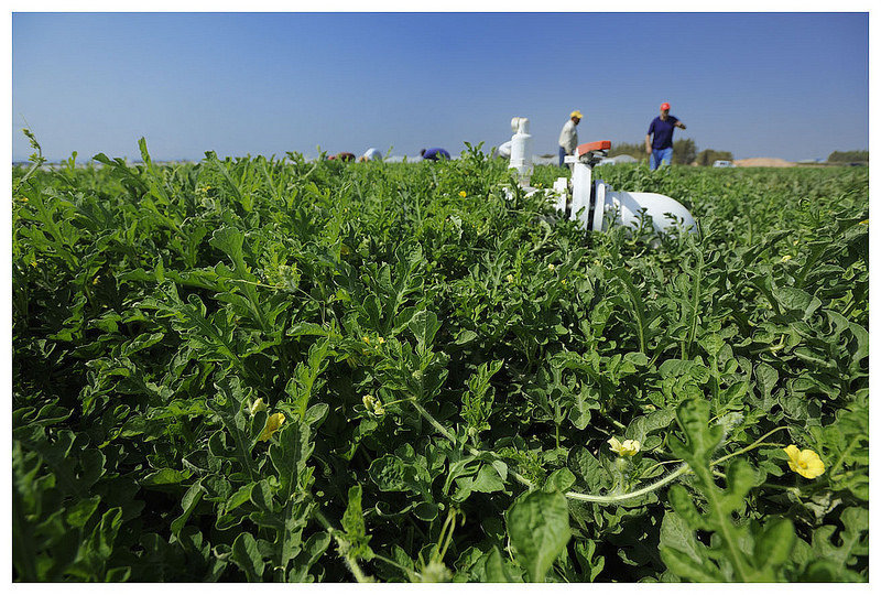 Ligero aumento del paro agrario y caída de la afiliación a la Seguridad Social en marzo